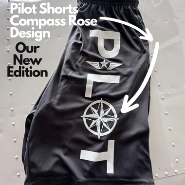 an image of DFS pilot shorts compass rose design on a piper cherokee airplane